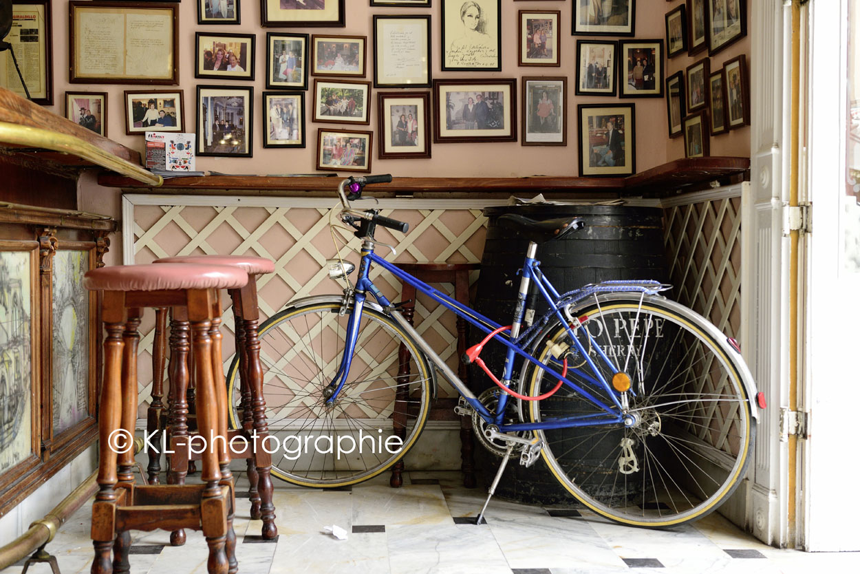 cafe "el jardin", calle canon, malaga