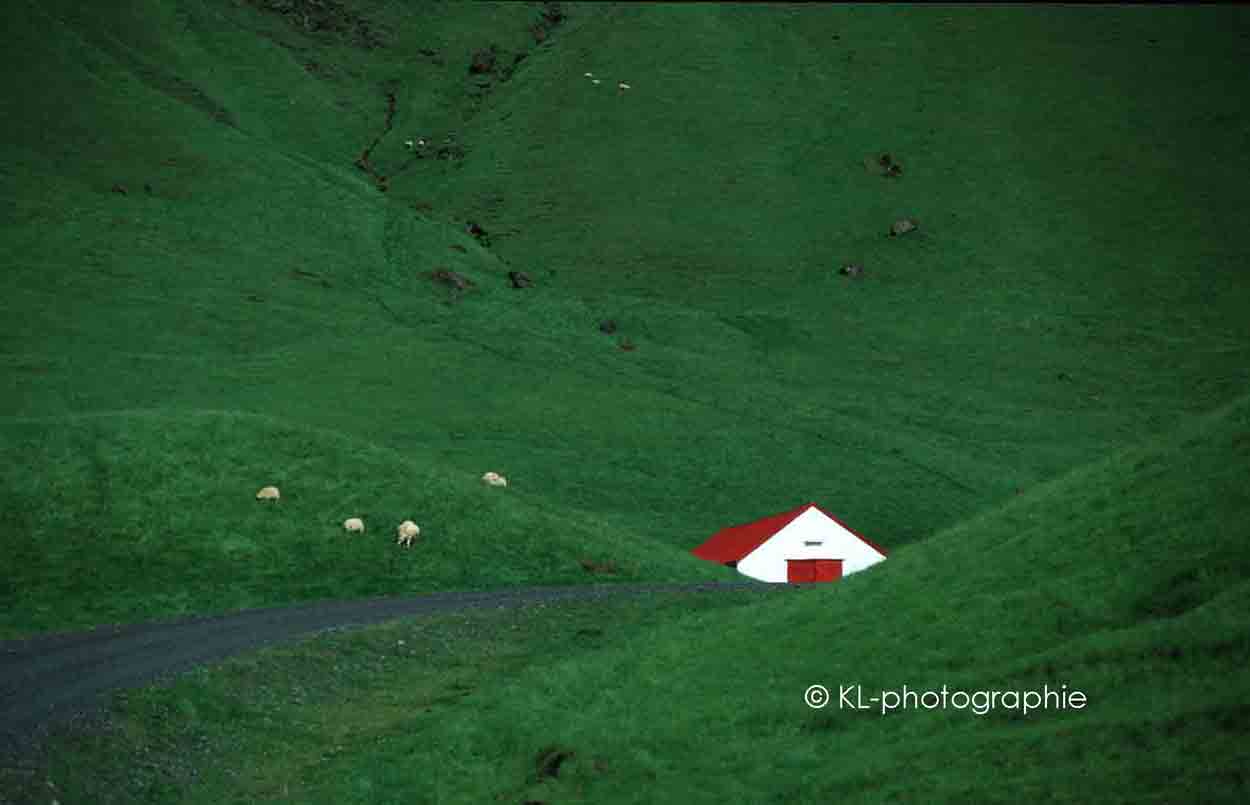 hof bei vik