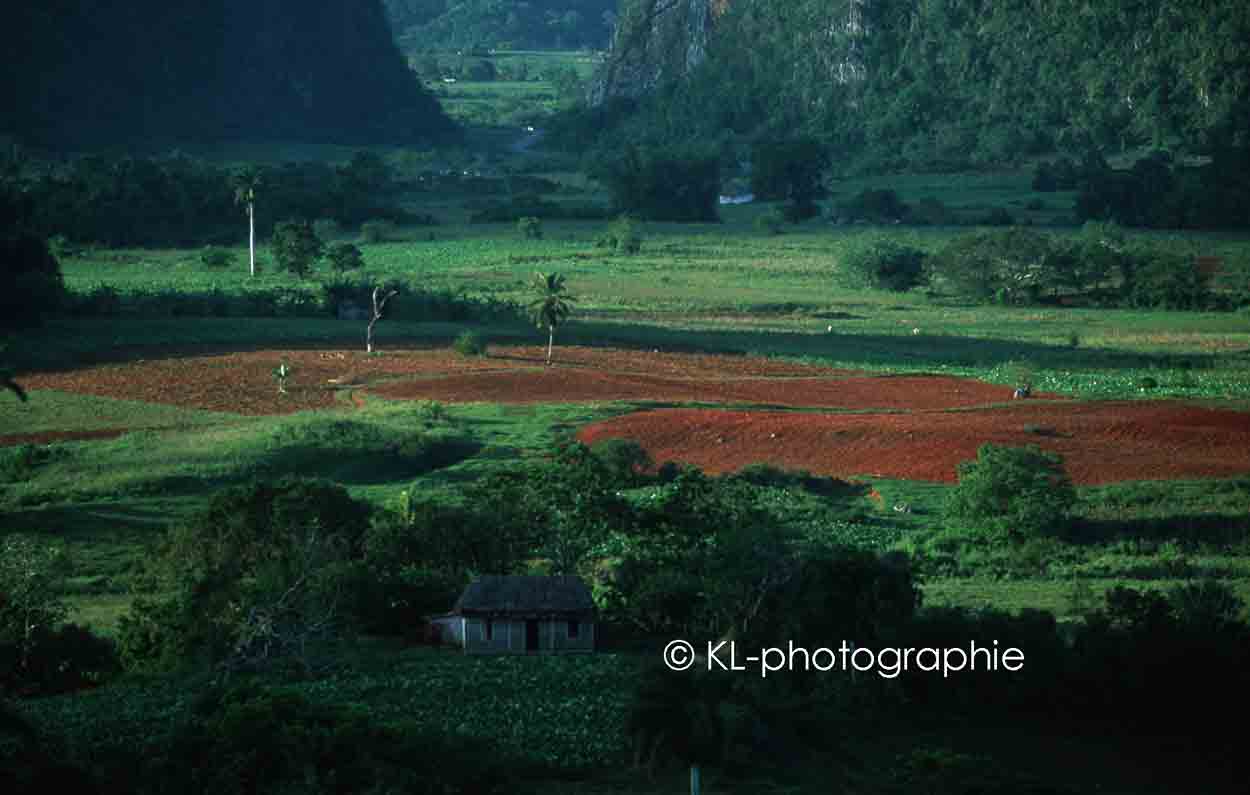 valle de vinales