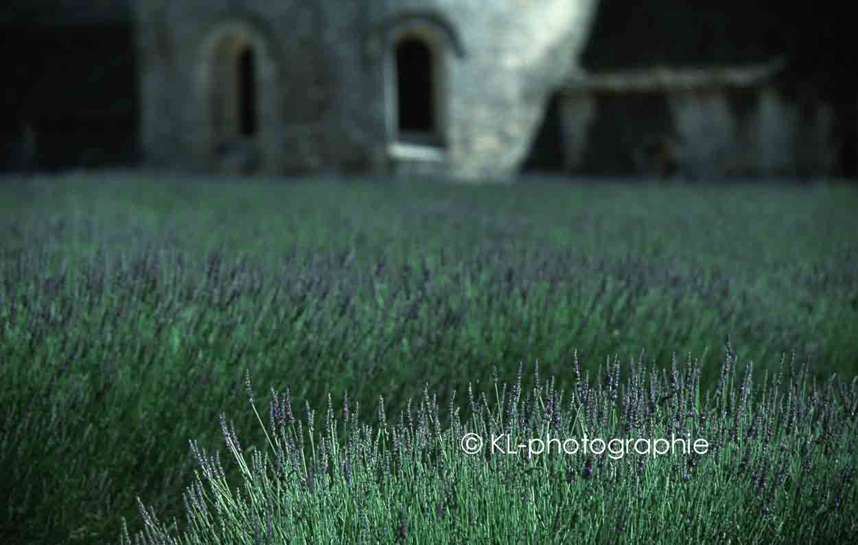 kloster senanque