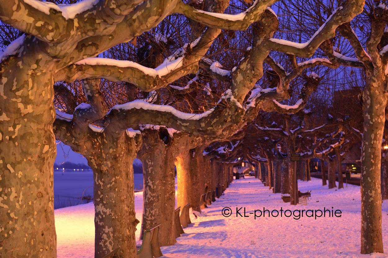uferpromenade, eltville